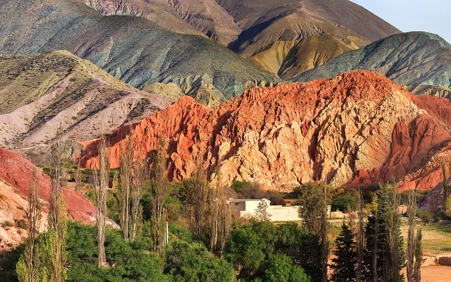 From Salta: Salinas Grandes, Purmamarca and Cuesta de Lipán - Key points before you book