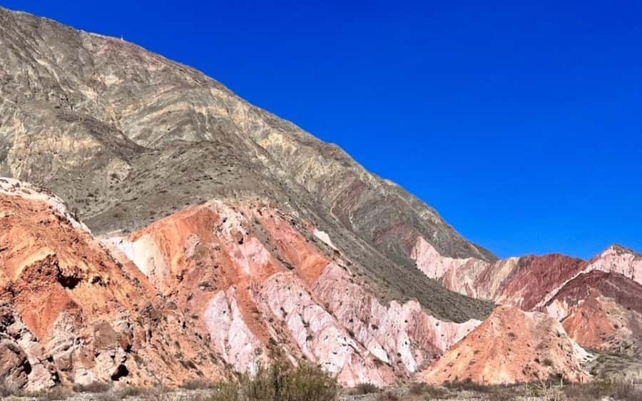 From Salta: Salinas Grandes, Purmamarca and Cuesta de Lipán - The guide can shape the whole experience