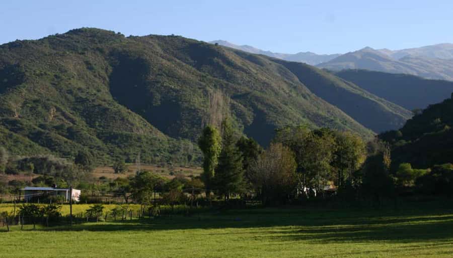 From Tucumán: Tafí del Valle, Quilmes Ruins and Cafayate - The route through Los Sosa Gorge and El Mollar
