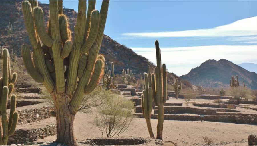 From Tucumán: Tafí del Valle, Quilmes Ruins and Cafayate - Tafí del Valle and the first mountain views