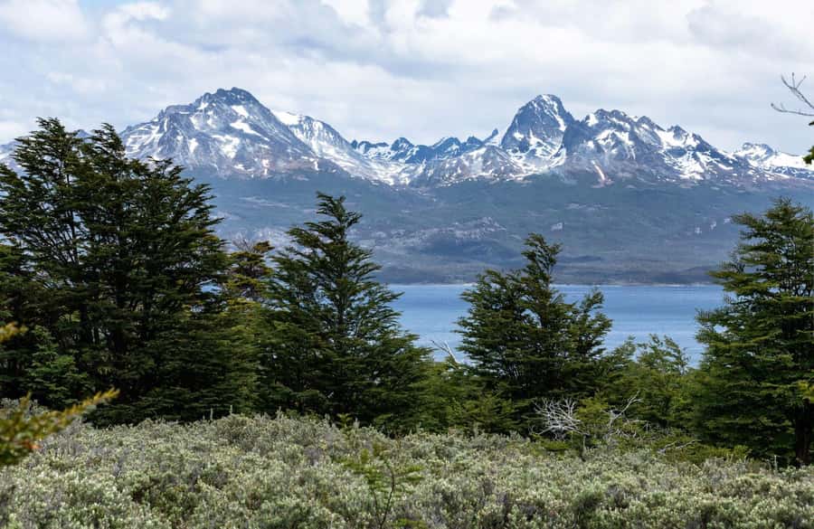 From Ushuaia: Discover Tierra del Fuego National Park - Who should book this half-day outing