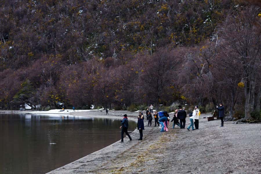 From Ushuaia: Discover Tierra del Fuego National Park - Lake Acigami and the southern forest