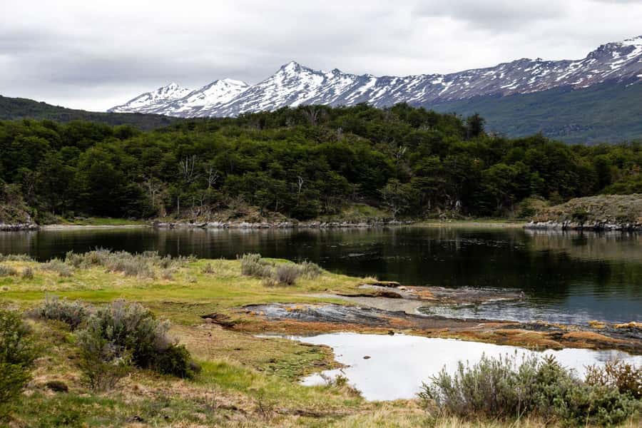 From Ushuaia: Discover Tierra del Fuego National Park - Alakush Visitor Center and Laguna Verde