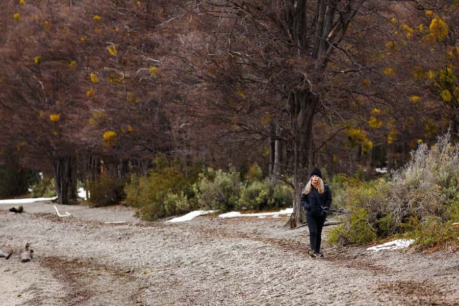 From Ushuaia: Discover Tierra del Fuego National Park - Wildlife along the route