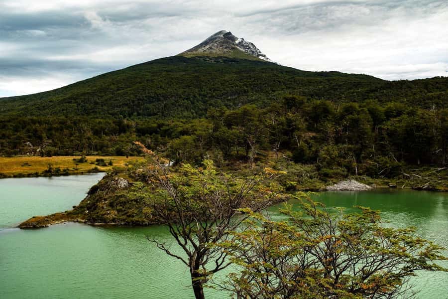 From Ushuaia: Discover Tierra del Fuego National Park - The End of the World Train overlap