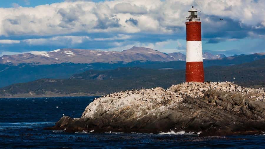 From Ushuaia: Penguin Watching Tour by Catamaran - Hotel Pickup and the Start of Your Day