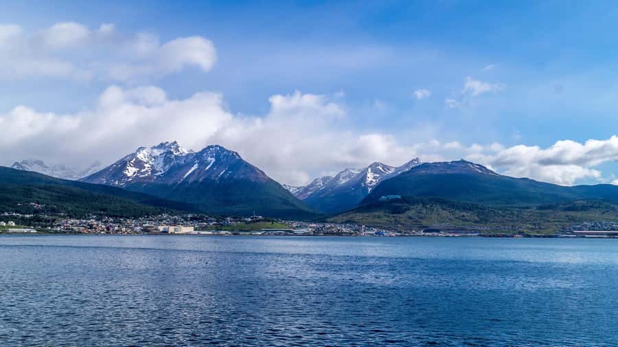 From Ushuaia: Penguin Watching Tour by Catamaran - Who Will Enjoy This Cruise Most?