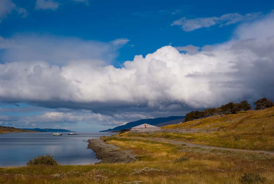 From Ushuaia: Penguin Watching Tour by Catamaran - Small Details That Make the Day Easier