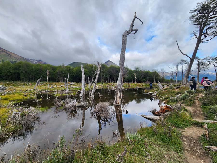 From Ushuaia: Tierra del Fuego Emerald Lagoon Trekking Tour - Getting ready for wet Patagonian ground