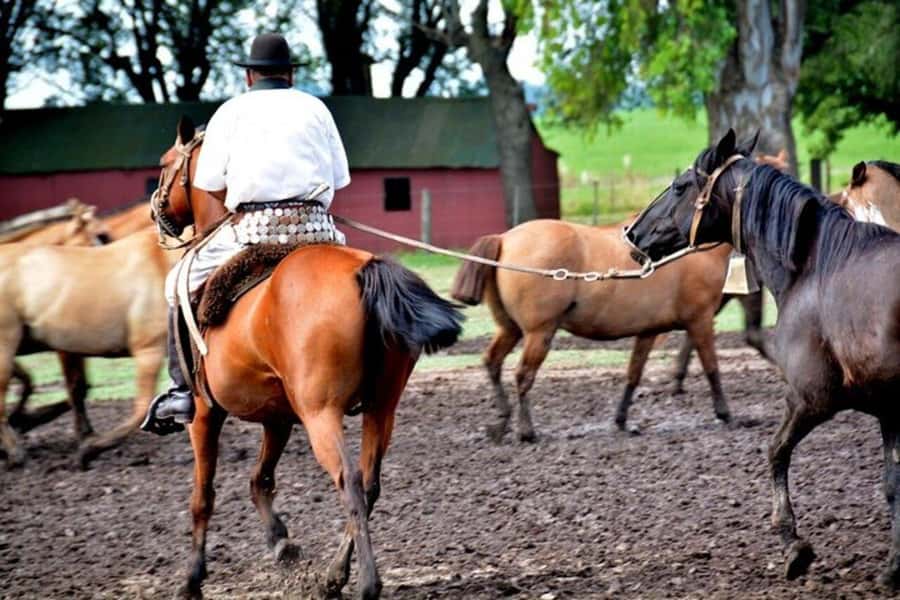 Full-Day at Santa Susana Ranch with BBQ, Drinks and Show - A note on tango and the Puerto Madero mention