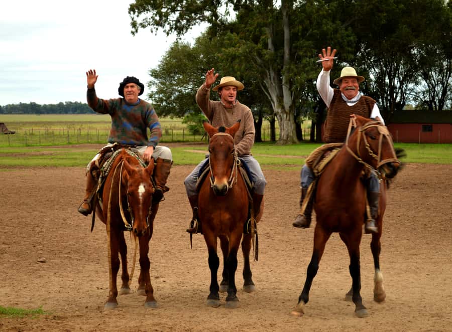 Full-Day at Santa Susana Ranch with BBQ, Drinks and Show - The barbecue lunch and show