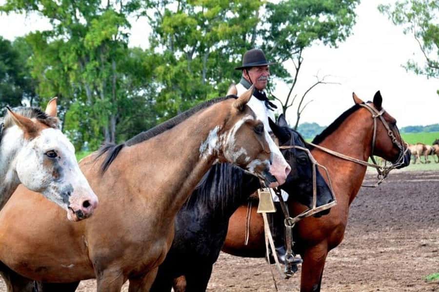 Full-Day at Santa Susana Ranch with BBQ, Drinks and Show - La sortija, herding, and the afternoon riding program