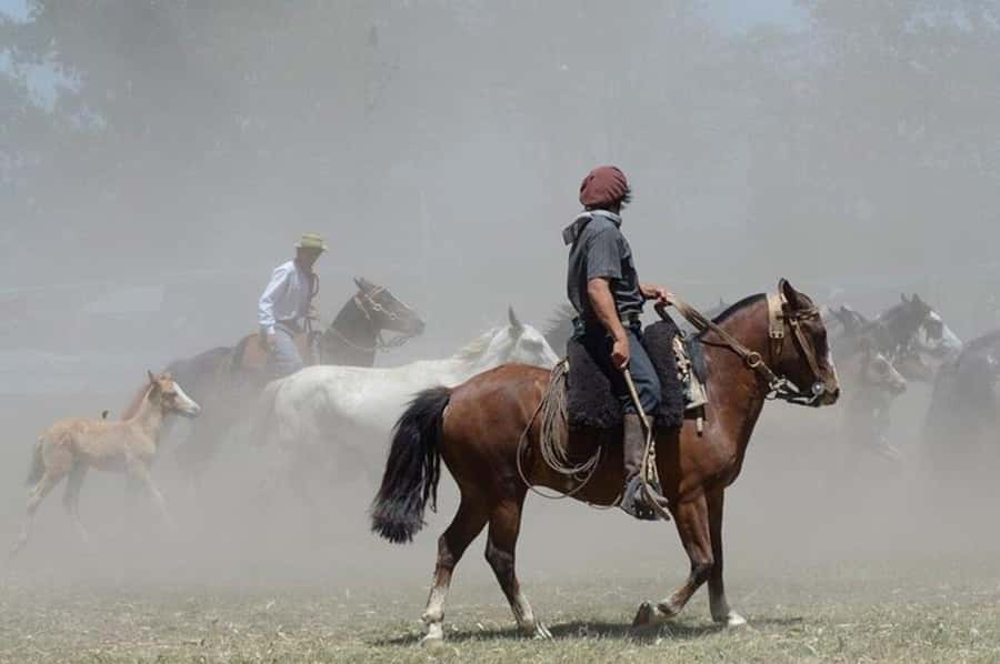 Full-Day at Santa Susana Ranch with BBQ, Drinks and Show - Who should book this estancia day