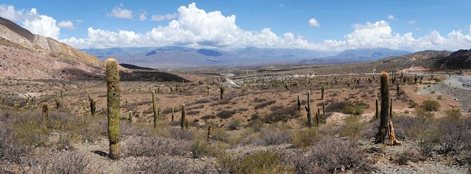 Full-day Cachi and Los Cardones National Park from Salta - The essential points at a glance