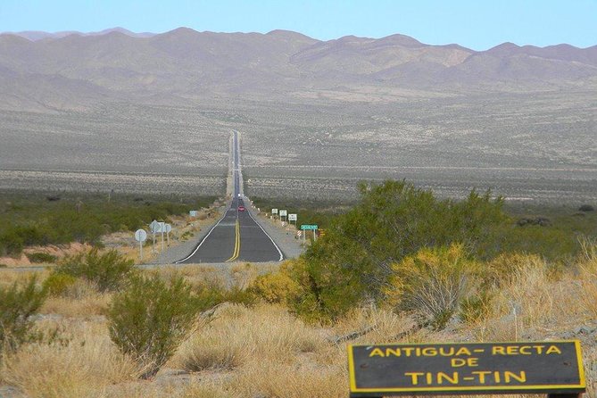 Full-day Cachi and Los Cardones National Park from Salta - Los Cardones National Park and its giant cacti