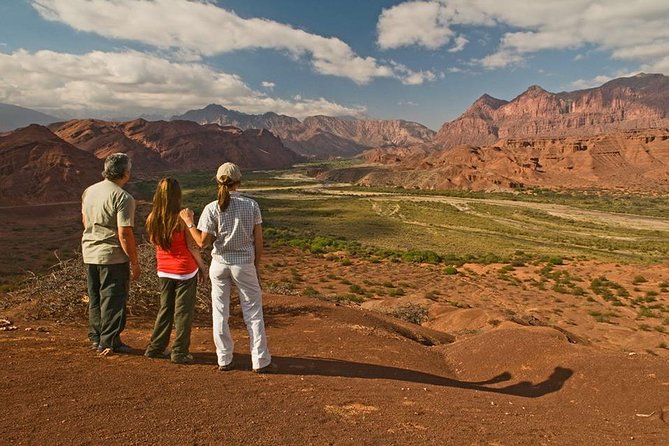 Full-day Cafayate, Lerma Valley, and Wine Tasting from Salta - Why this day trip works from Salta