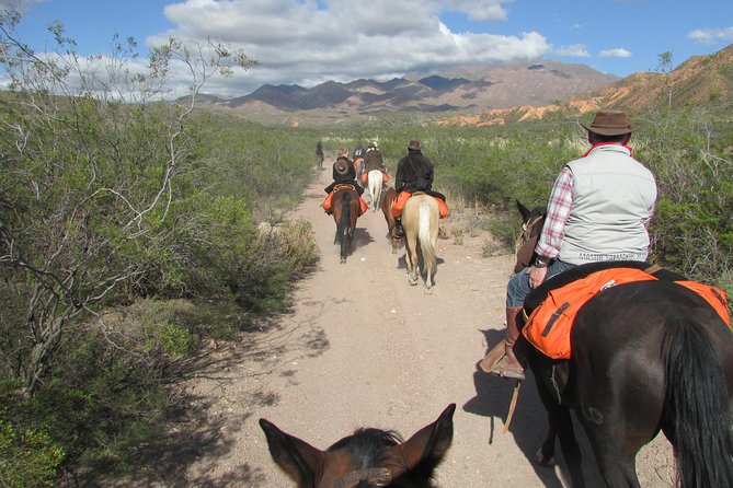 Full day ride at the foot of The Andes - Afternoon tea and a flexible finish