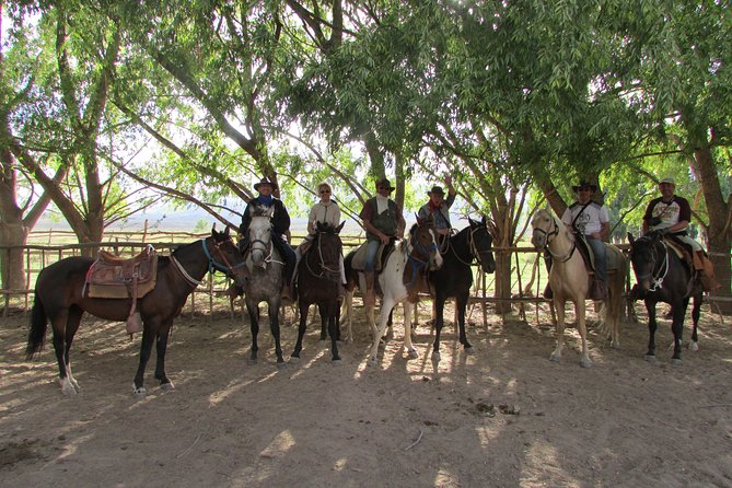 Full day ride at the foot of The Andes - Who should book this ranch day