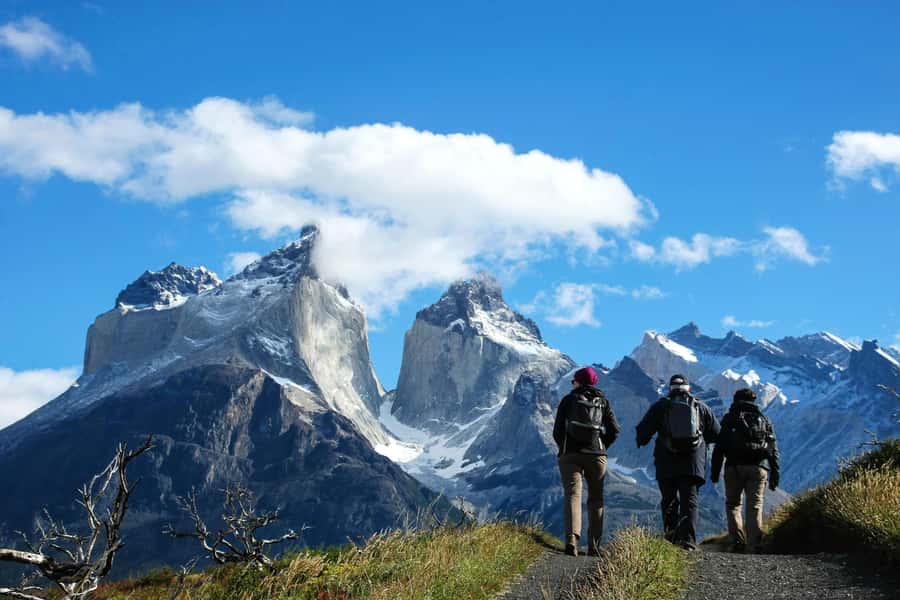 Full-Day Torres del Paine National Park from El Calafate - Cancha Carrera and Cerro Castillo