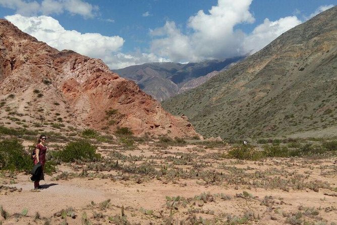 Full-Day Tour Salinas Grandes and Purmamarca from Salta - Lunch and the return to Salta