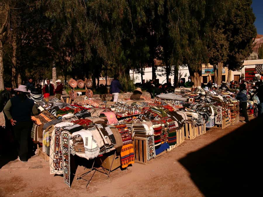 Full-Day Tour to Humahuaca from Salta - Humahuaca and the northern end of the trip