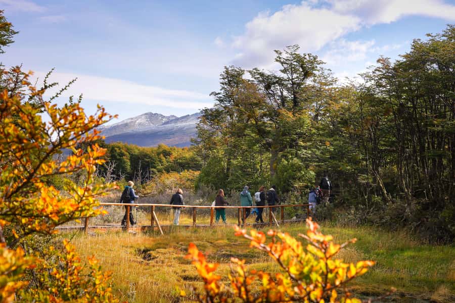 Full Day Trip to Tierra del Fuego National Park - What the six-hour route really gives you
