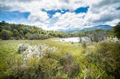 Full Day Trip to Tierra del Fuego National Park