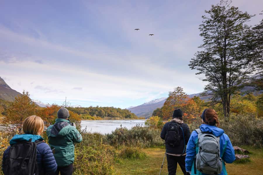 Full Day Trip to Tierra del Fuego National Park - Should you book the six-hour Tierra del Fuego tour?