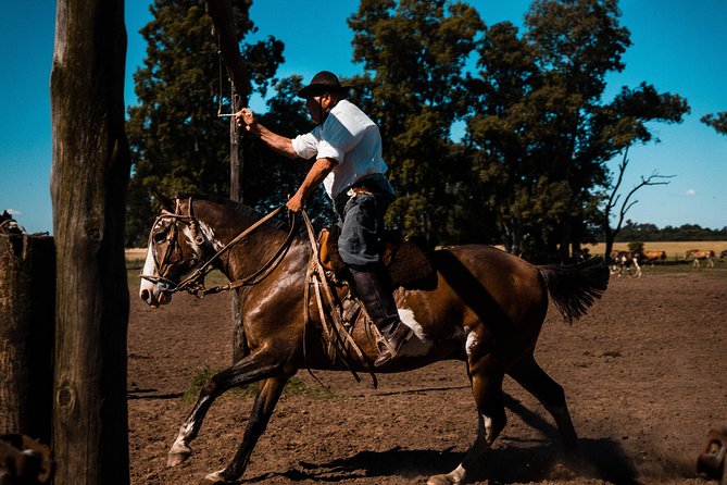 Gaucho Day Trip from Buenos Aires: Santa Susana Ranch - Leaving Buenos Aires for the pampas