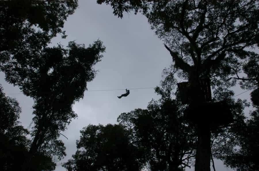 Half-Day Iguazú Forest Adventure - Rappelling beside waterfalls in the Selva Misionera