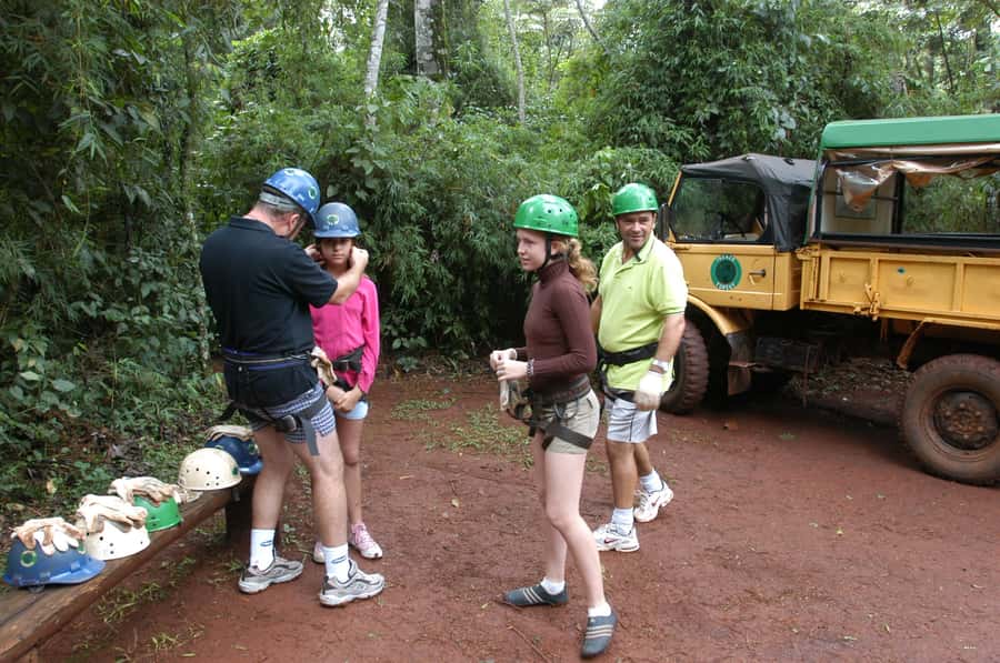 Half-Day Iguazú Forest Adventure - A forest walk with birds and fallen leaves