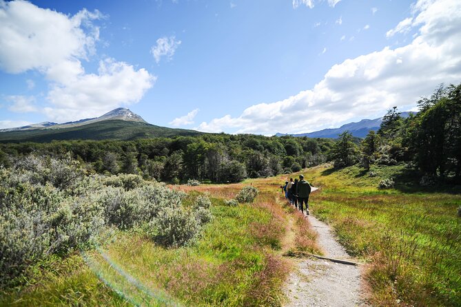 Half-Day Tierra del Fuego National Park with Lunch and Drinks - Ensenada Bay and the first park views