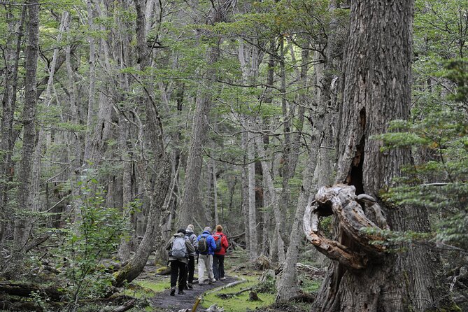Half-Day Tierra del Fuego National Park with Lunch and Drinks - Lapataia Bay and the end of the road