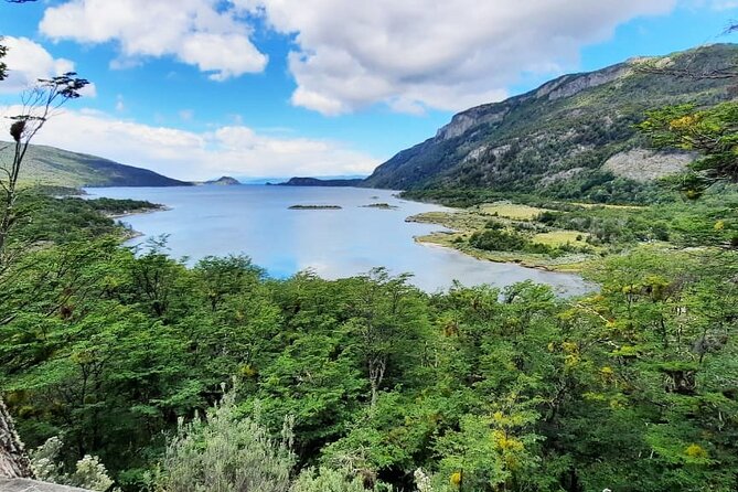 Half-Day Tierra del Fuego National Park with Train - Why the End of the World Train is worth your morning