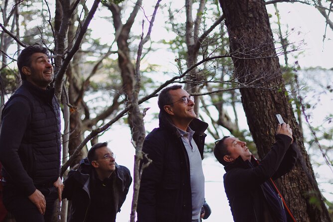Half-Day Tierra del Fuego National Park with Train - Who should book this half-day tour