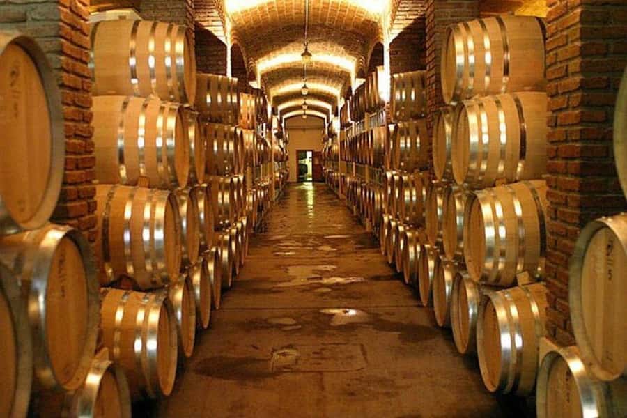 Half Day Tour of Wineries and Olive Oil from Mendoza - Why this half-day tour works for Mendoza