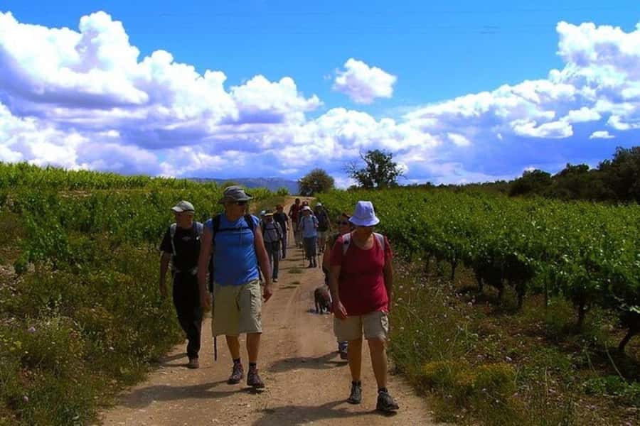 Half Day Tour of Wineries and Olive Oil from Mendoza - Starting from a downtown Mendoza hotel