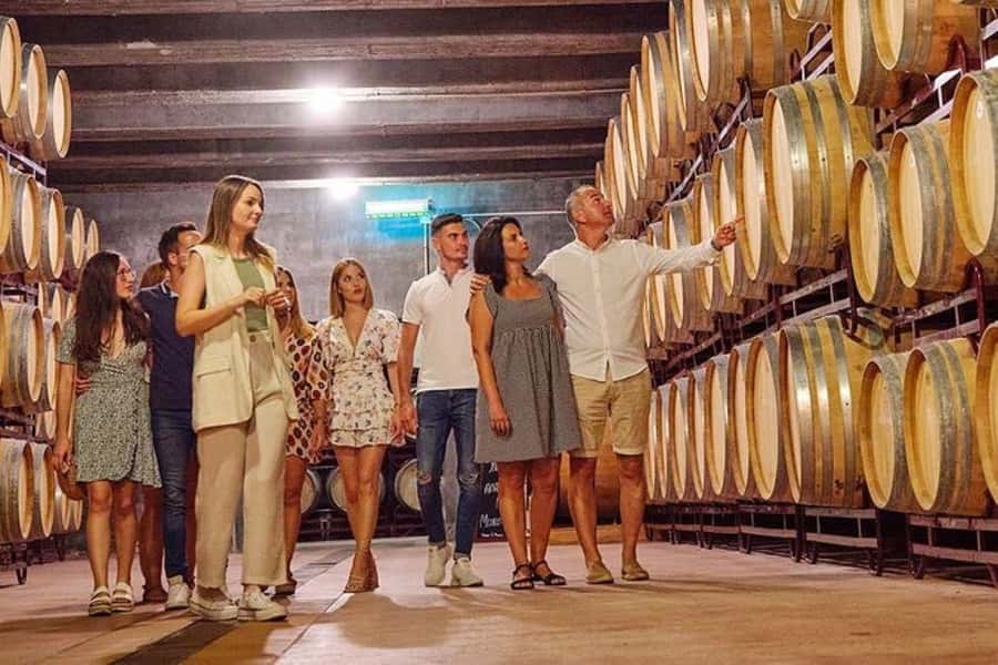 Half Day Tour of Wineries and Olive Oil from Mendoza - Second winery: compare the styles instead of rushing
