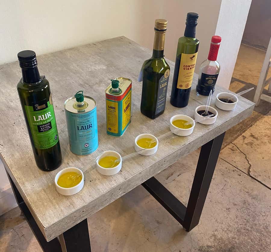 Half Day Tour of Wineries and Olive Oil from Mendoza - Who will get the most from this outing