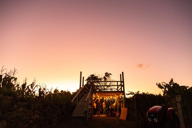 Harvest Evening - Grape Pisa at Vinhos Cristofoli - Starting in the winery garden at 17:30