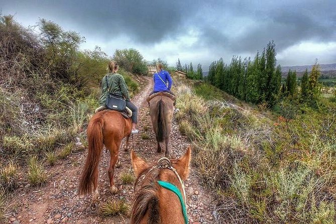 Horseback ride through vineyards followed by gourmet lunch - Why this Maipu horseback ride works so well