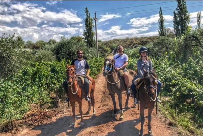 Horseback ride through vineyards followed by gourmet lunch - What the $210 price really covers