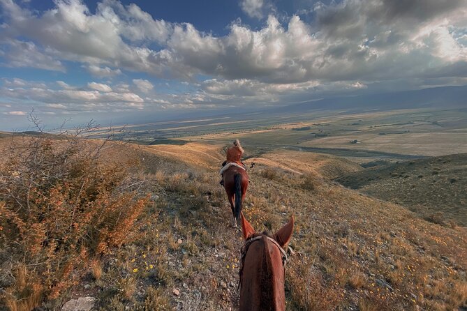 Horseback riding and barbecue in a private ranch - La Carrera, Mendoza - Reaching La Carrera from Mendoza