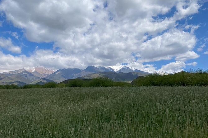 Horseback riding and barbecue in a private ranch - La Carrera, Mendoza - Mounting up on well-cared-for Creole horses
