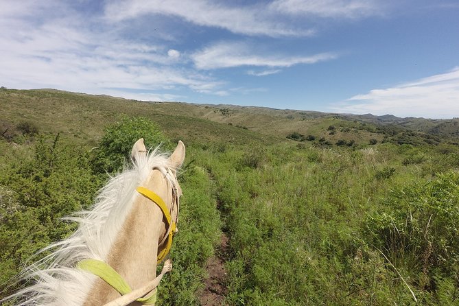Horseback riding through the Sierras - Meeting Salvador and Choosing the Right Horse
