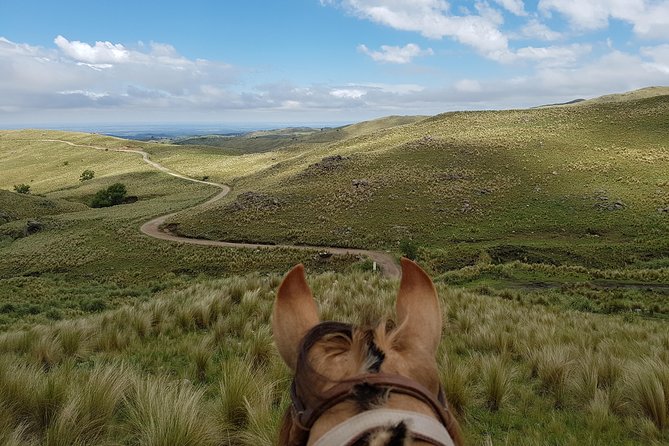 Horseback riding through the Sierras - Who Will Enjoy This Ride Most