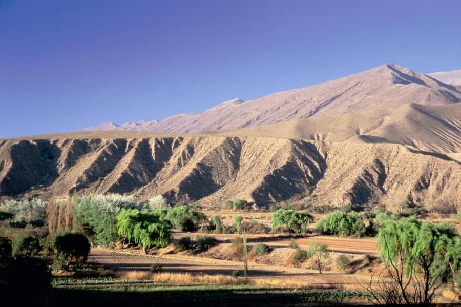 Humahuaca Valley Multicultural Tour from Salta - Why the road to Humahuaca is worth a whole day