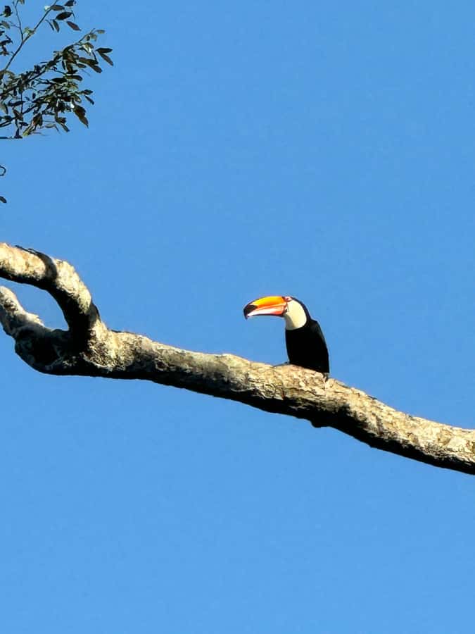 Iguassu Falls: Private Tour Argentina side - Accessibility, rules, and useful preparation
