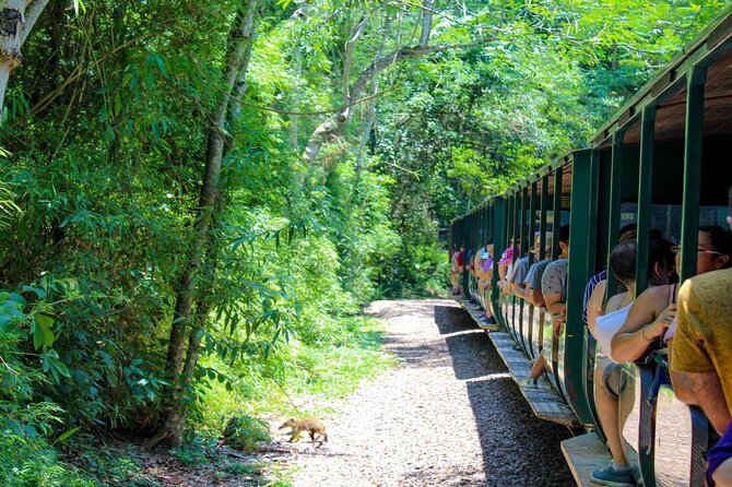 Iguazu Falls: Argentinian Side with Boat Ride, Jungle-truck and Train - Returning by truck and vehicle