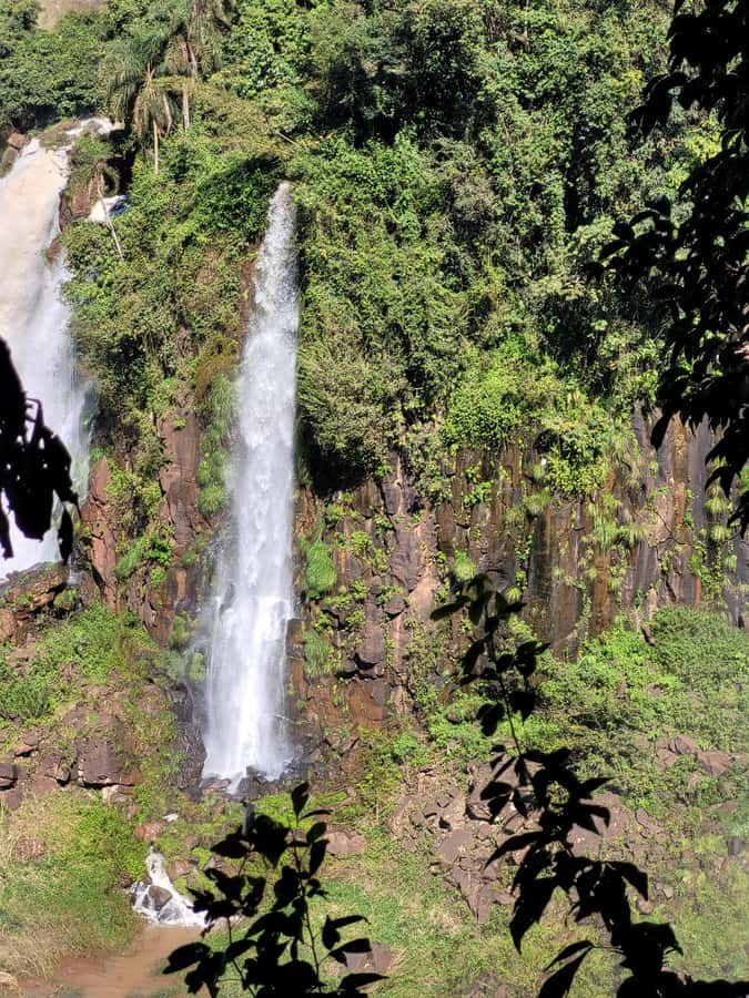 Iguazu Falls: Guided Tour in Argentinean Side - The Upper Trail gives you the big picture